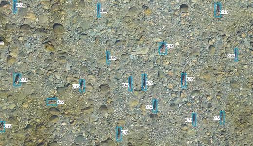 AI-Powered Analytics